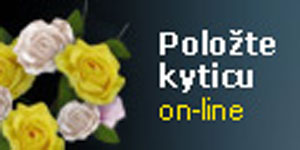Video - kr�tky n�vod na pou�itie